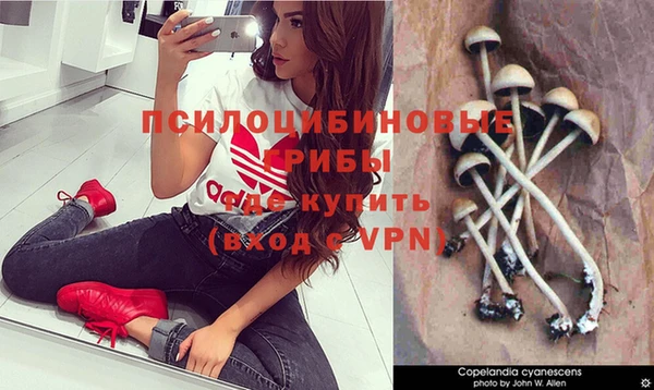 бутират Алексин